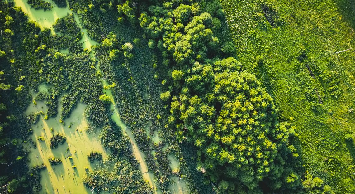 Il 20 febbraio la presentazione del Position paper ASviS sui servizi ecosistemici