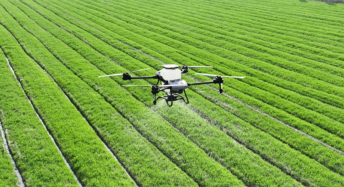 Foodtech italiano: investimenti in calo, ma startup ed export spingono la crescita