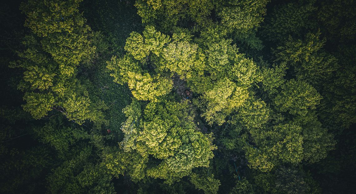 Trasparenza climatica: la leva nascosta per realizzare l’Accordo di Parigi