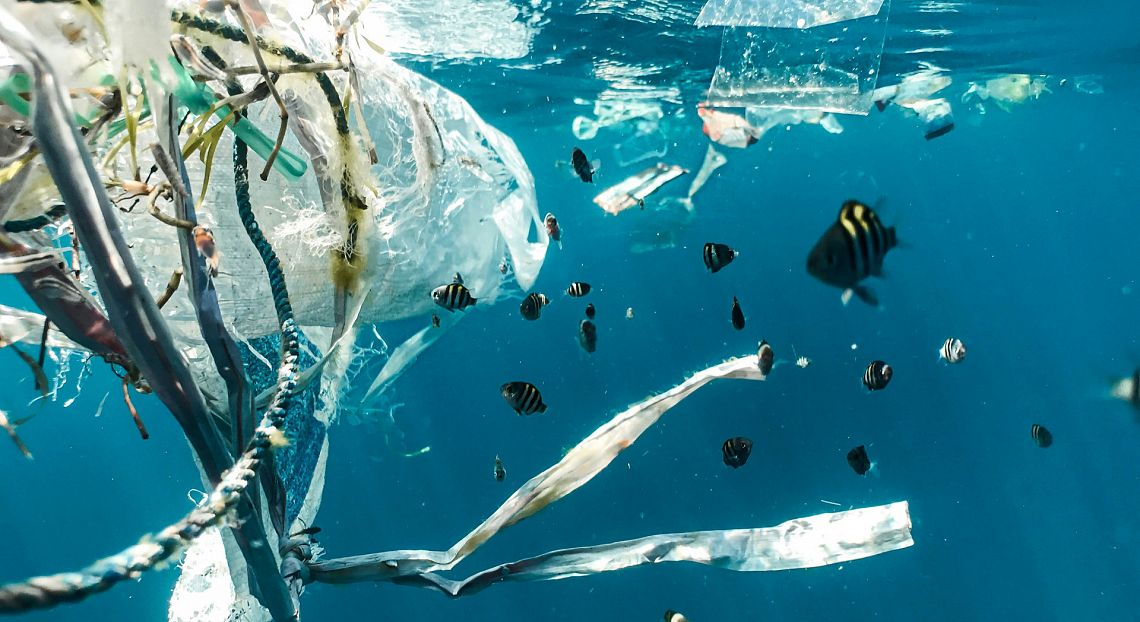 Negoziati ambientali: dalla plastica agli oceani, ecco cosa aspettarci dal 2025