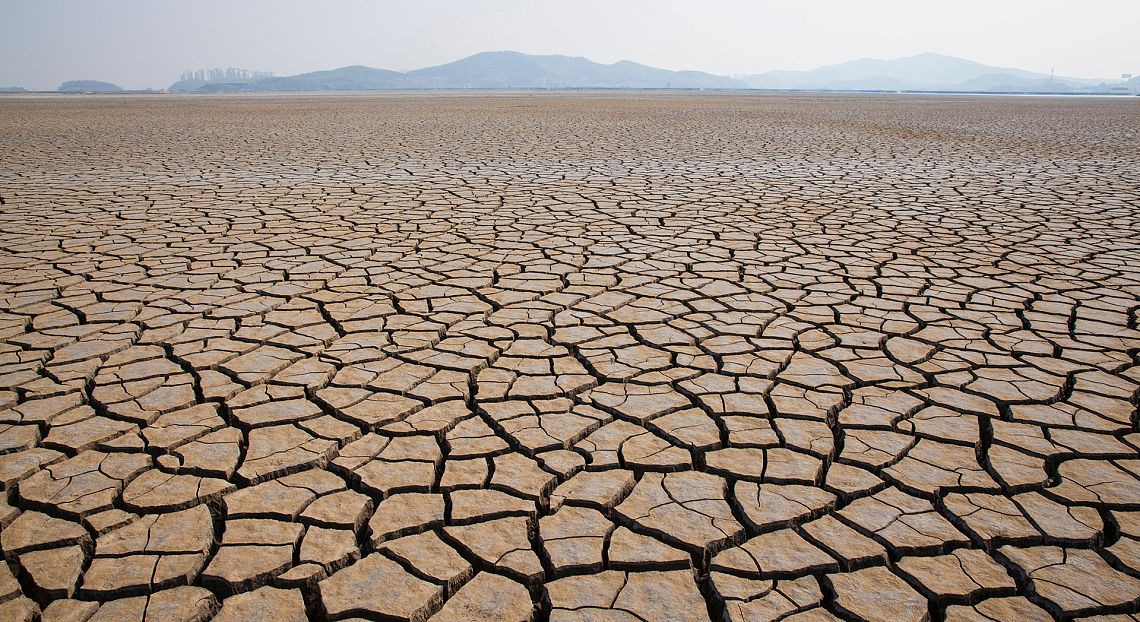 Snpa: cresce il consumo di suolo, nel 2021 il valore più alto degli ultimi 10 anni