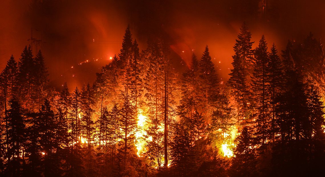 L’Italia brucia e i cambiamenti climatici aggravano la stagione degli incendi