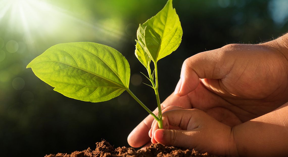 Giornata della Terra 2021: le iniziative ASviS per la rigenerazione del Pianeta