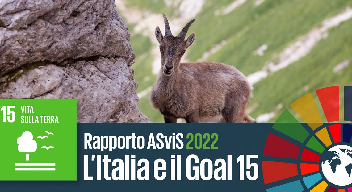 L’Italia e il Goal 15: biodiversità in declino, serve una fiscalità ecologica