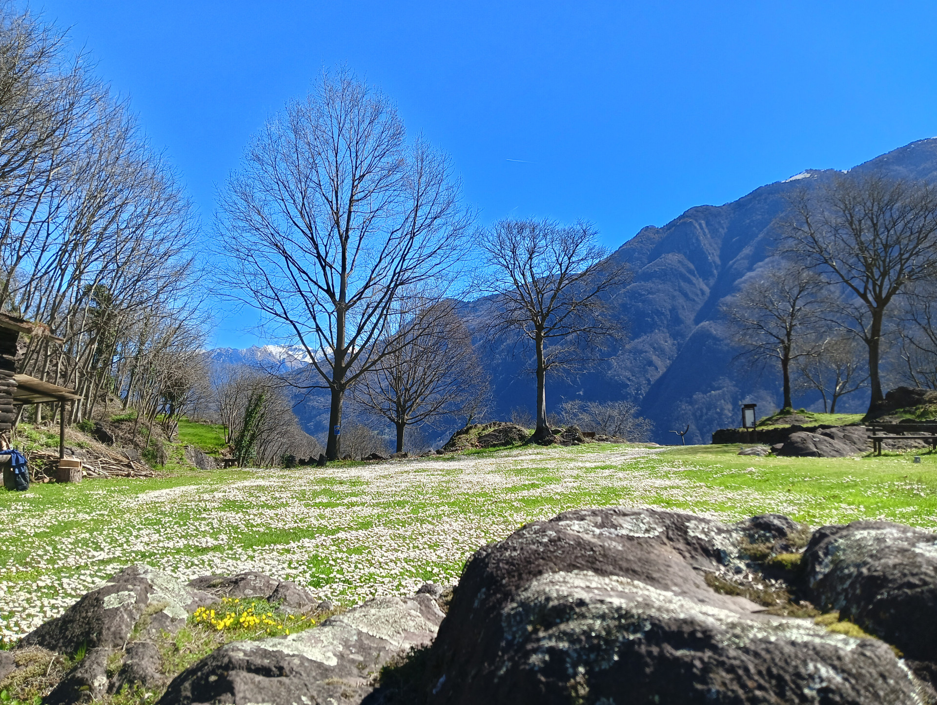 #UNESCOSOSTENIBILE <br>Valle Camonica: dove la pietra racconta il clima dell’umanità